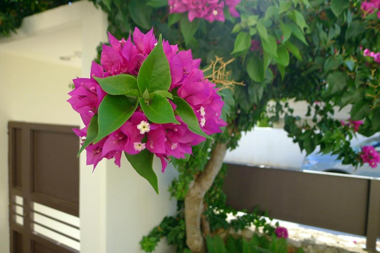 Maria & Manos Guest House, Agios Onoufrios Beach Dış mekan fotoğraf